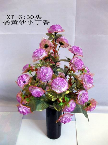IMG_0876_8155.jpg