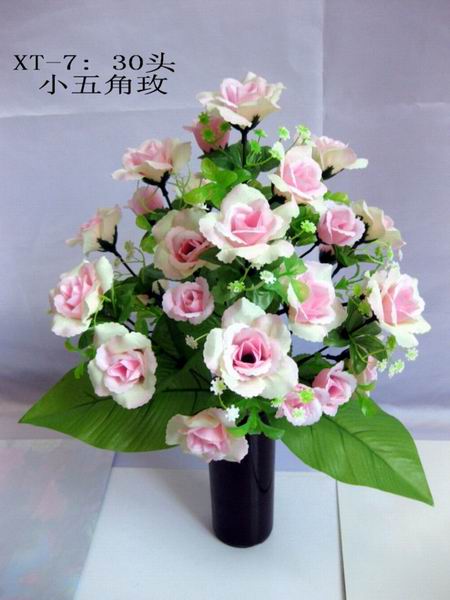 IMG_0877_8697.jpg
